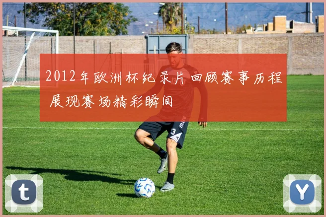2012年欧洲杯纪录片回顾赛事历程 展现赛场精彩瞬间