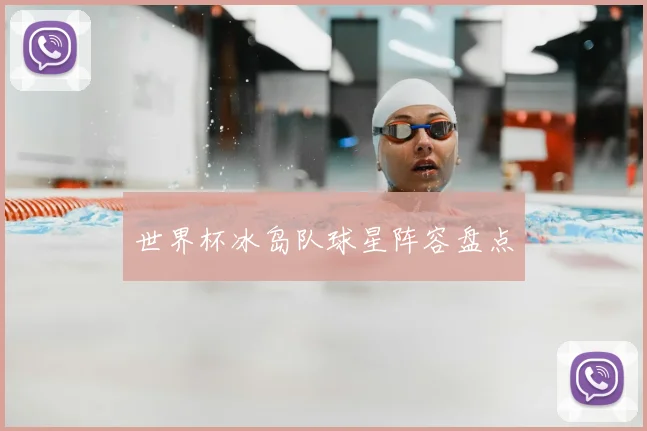 世界杯冰岛队球星阵容盘点