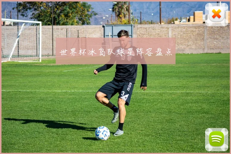 世界杯冰岛队球星阵容盘点
