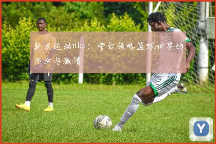 新浪运动nba：带你领略篮球世界的热血与激情