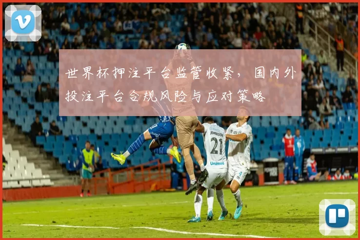 世界杯押注平台监管收紧，国内外投注平台合规风险与应对策略