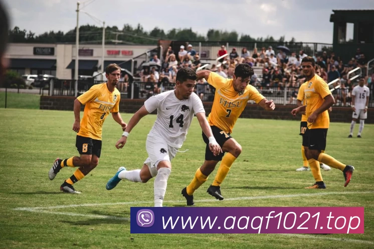 KAIYUN.COM·(中国)官方网站 - 开云服务体系